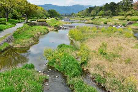 どこにいるの～
