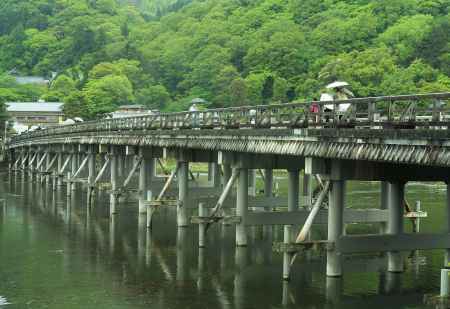 緑に染まる渡月橋