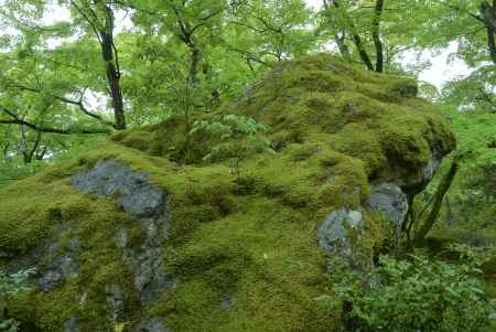 苔むす獅子岩