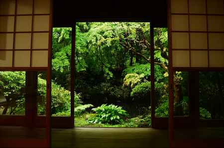 お茶席から甘雨