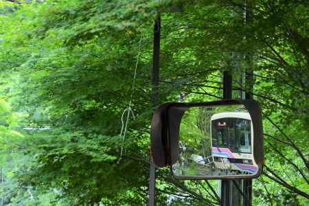 緑のミラーに…