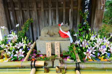 北野天満宮　花手水