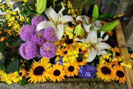 久々の御神紋ミッケ！