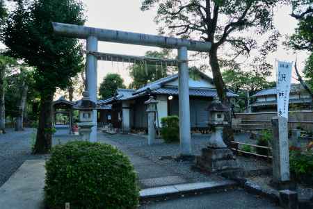 ありました～(^▽^)/