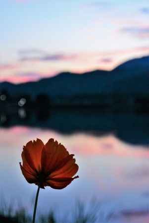 嵯峨野山々…夕涼み