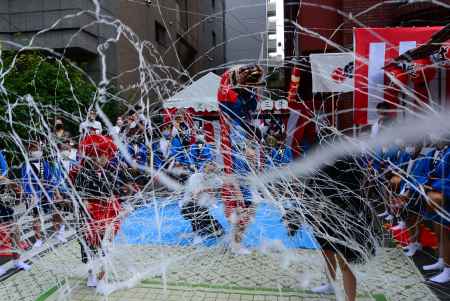 蜘蛛の糸　散る