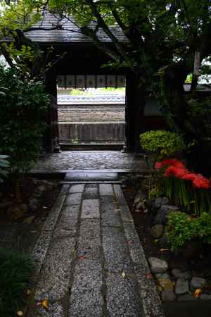 花はいろ　人はこころ