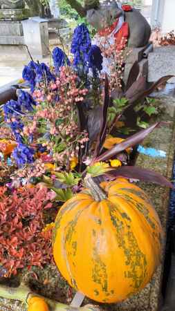天神市の花手水