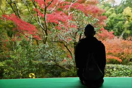 北嵯峨を愛でる