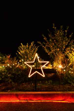 スターライトアップ