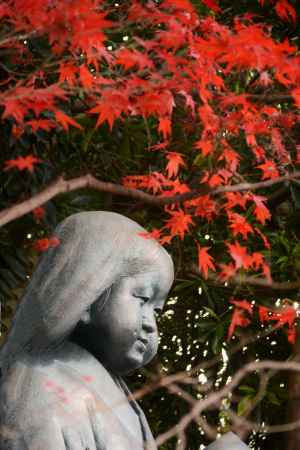 おかめさんと紅葉
