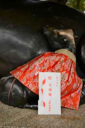 子牛さんと大福梅