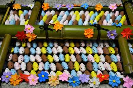 イノシシ花手水