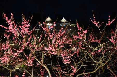 花の庭　和魂漢才
