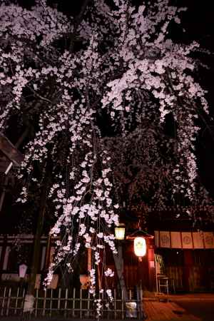 平安時代から名高く