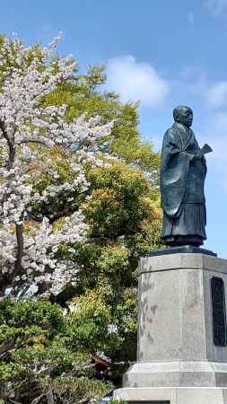 日扇聖人さんと染井吉野さん