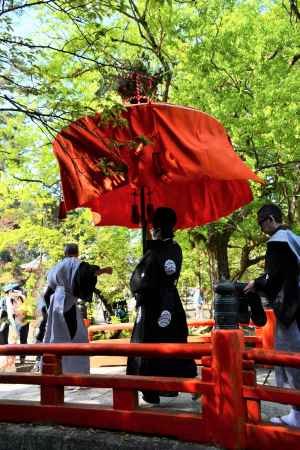 神橋渡る　花傘