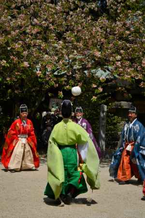 萌黄色装束　風光る