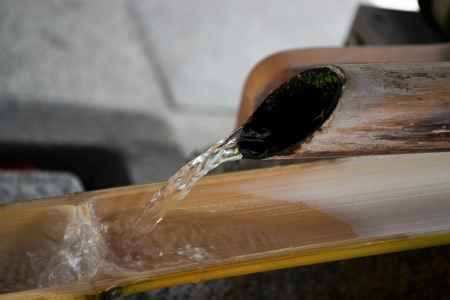 飛鳥井　平安の昔からやわらかく