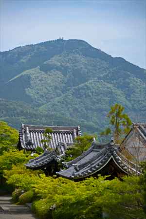 本堂からの眺望