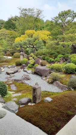 雪の庭　白緑になり
