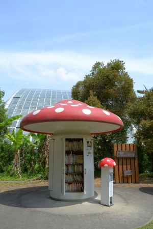 きのこの書庫に　ありがとう