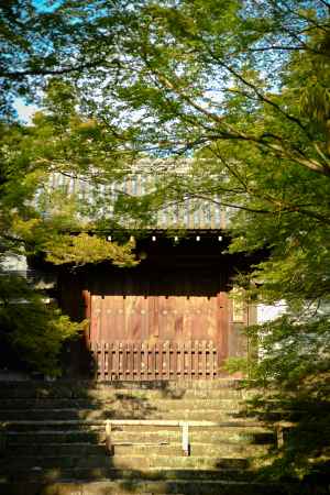 水無月　曼殊院門跡