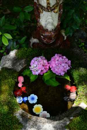 三明院さん　花手水