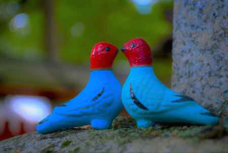 神鳩　ダイバーシティ