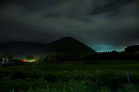 田んぼに舞う　ホタル