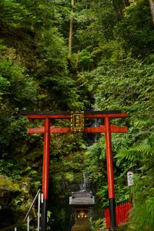 霊亀の滝　黴雨