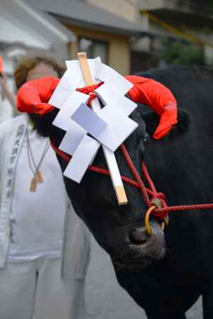 御幣をつけた牛さん