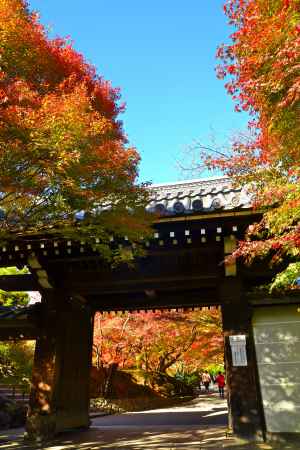 山門　紅葉