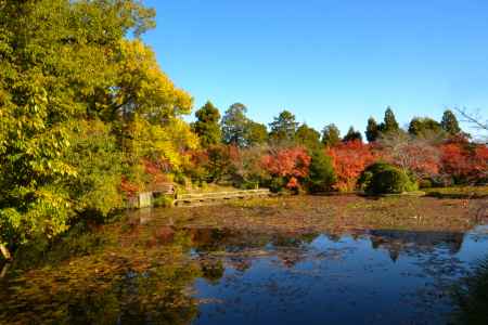 鏡容池　秋晴れ