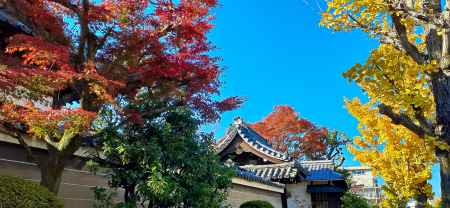 上品蓮台寺さん　秋　2023