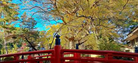 今宮神社さん　秋　2023