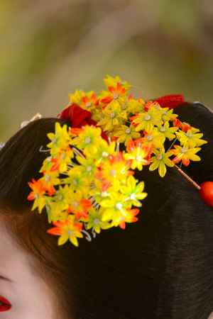 祇園小唄祭　花簪　紅葉
