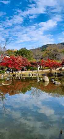 ひょうたん池　紅葉見頃