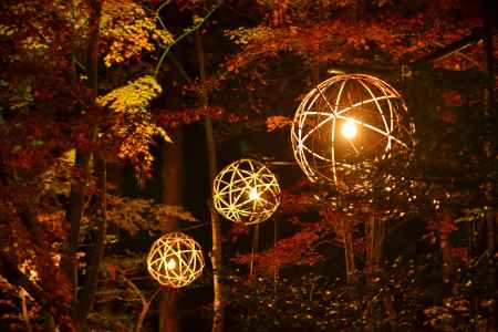 竹の灯り　幻想的