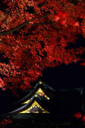 秋の展望所から