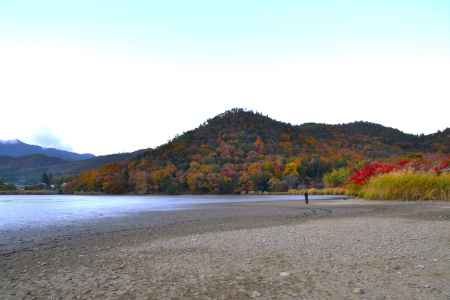 鯉揚げを楽しむ