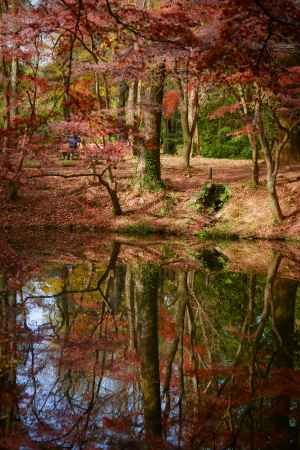 ソクラテスメソッド 　初冬