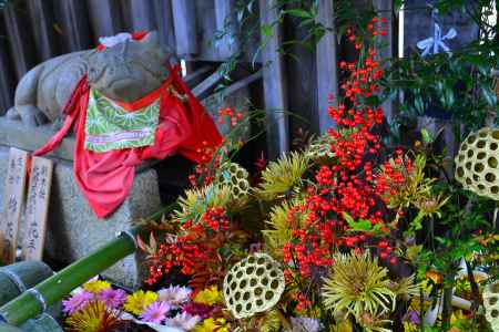 一粒万倍日の花手水