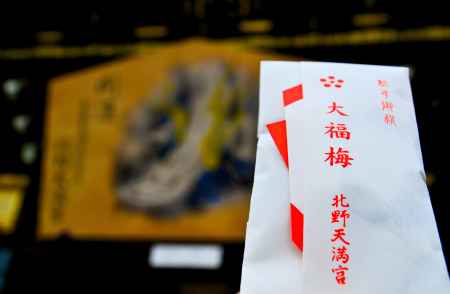 ジャンボ絵馬　大福梅