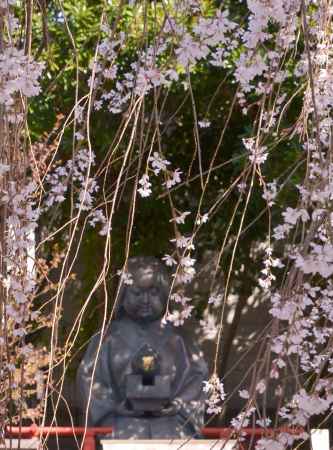 おかめ塚と阿亀桜　