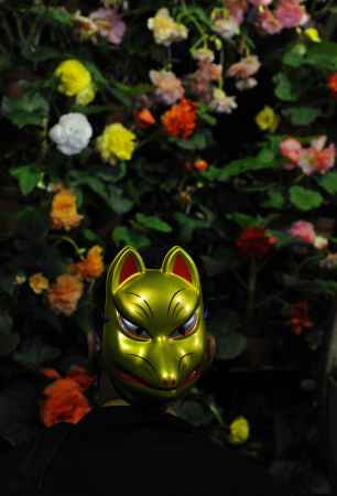 球根ベゴニア展　2024