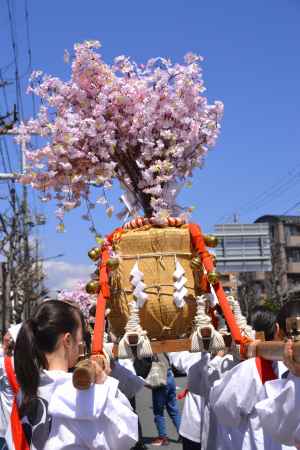 青空に舞う　女神輿