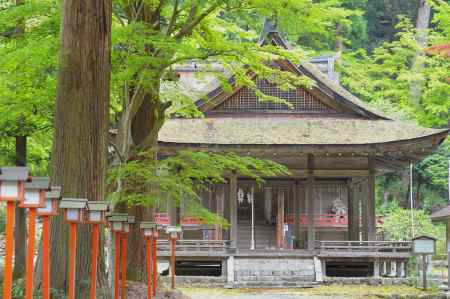 白山宮本殿　新緑