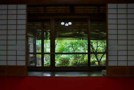 新緑に包まれる