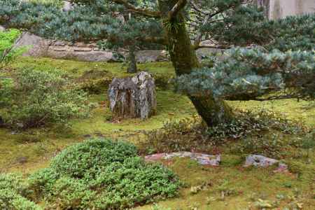 石と違うんです